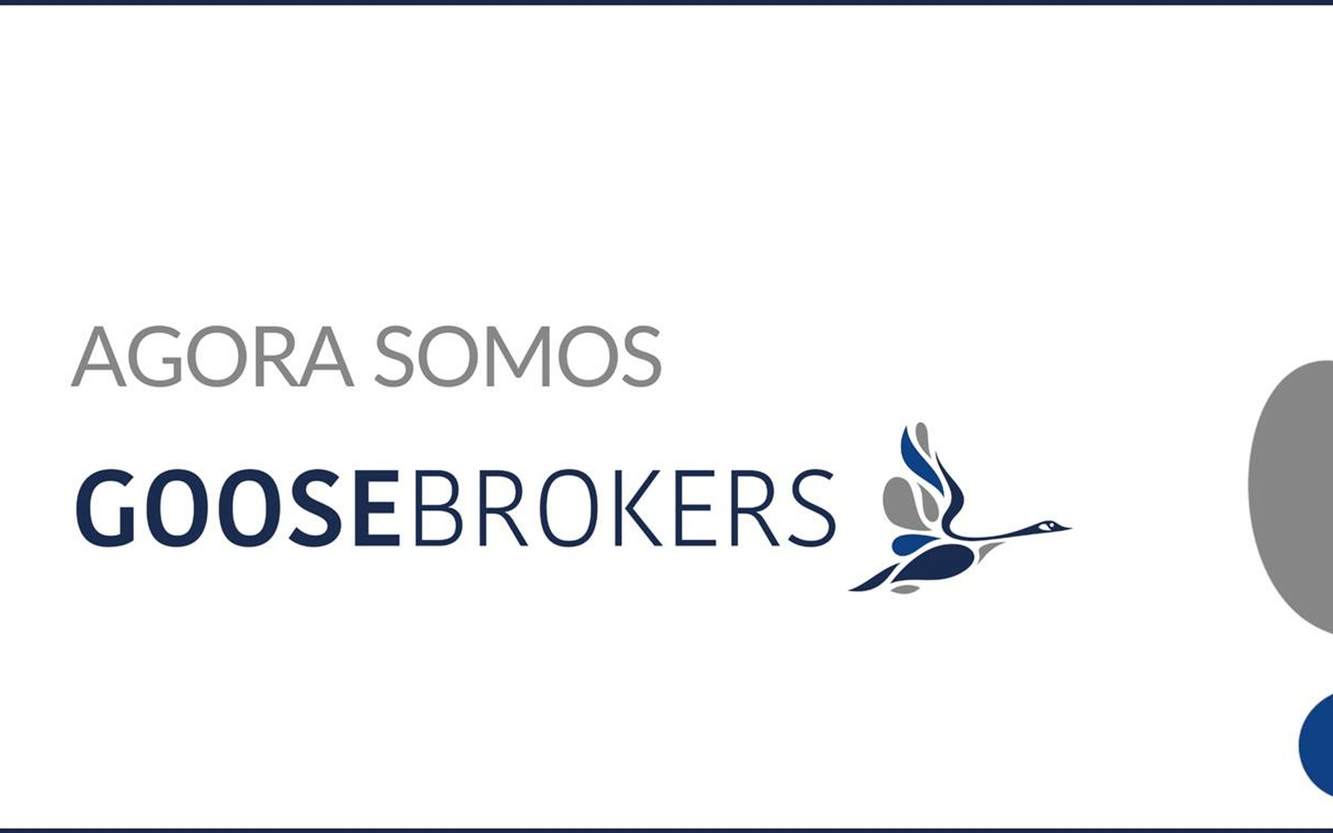 Tem a frase"Agora somos GOOSEBROKERS" e no fim da frase tem um ganso desenhado em tons de cinza e azul